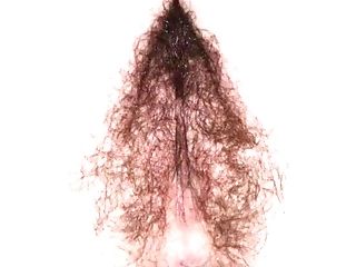 Her Hairy Vagina